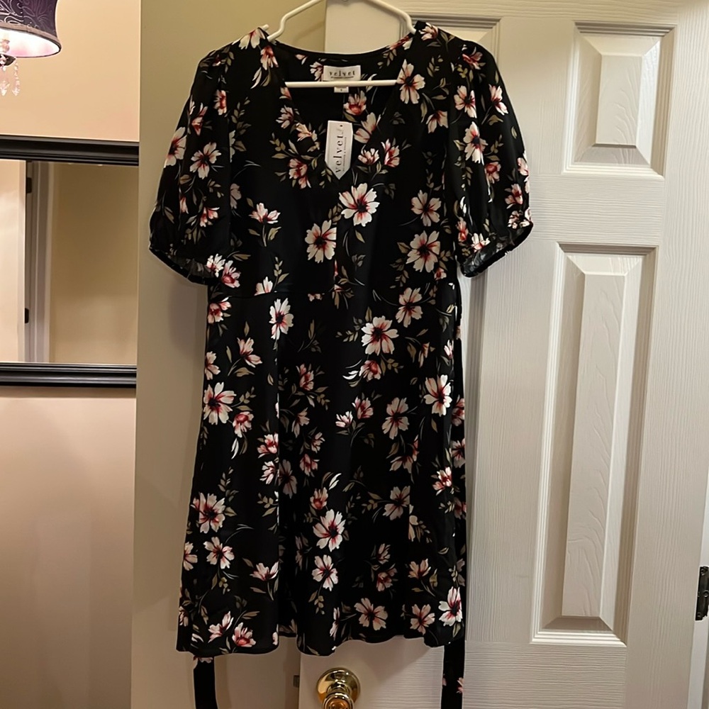 Velvet by Graham and Spenser dress fit and flare Mini Dress NWT small